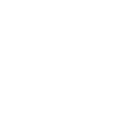 Nokian Monark -logo valkoinen